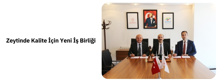 Zeytinde Kalite İçin Yeni İş Birliği